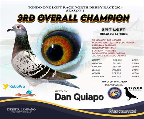 pha pigeon club|Philippine Homing Pigeon .